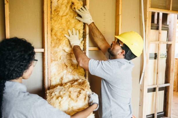 Best Wall Insulation Installation  in Monticello, IA